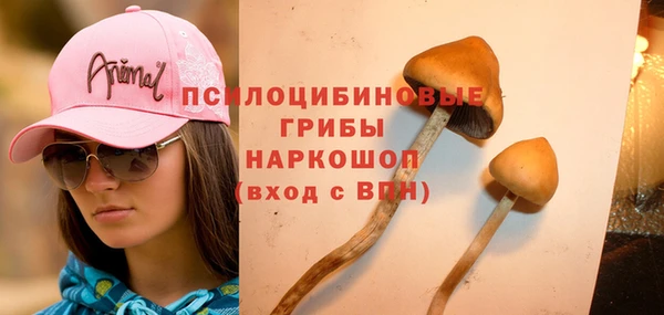 эйфоретик Козельск