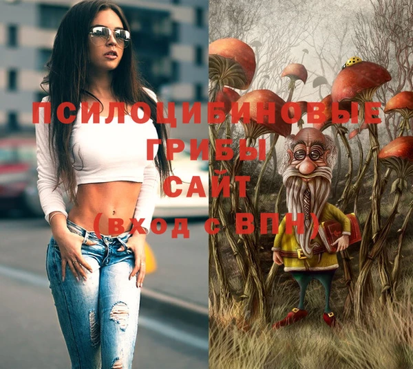 эйфоретик Козельск