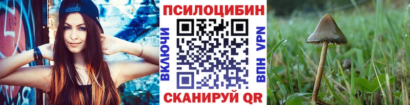 Псилоцибиновые грибы Psilocybine cubensis  Купить  Перевоз 